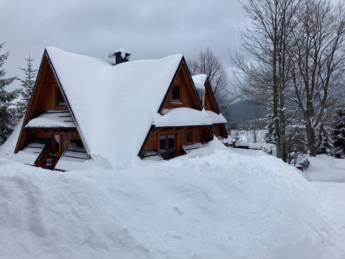 Apartment Mountain Dream
